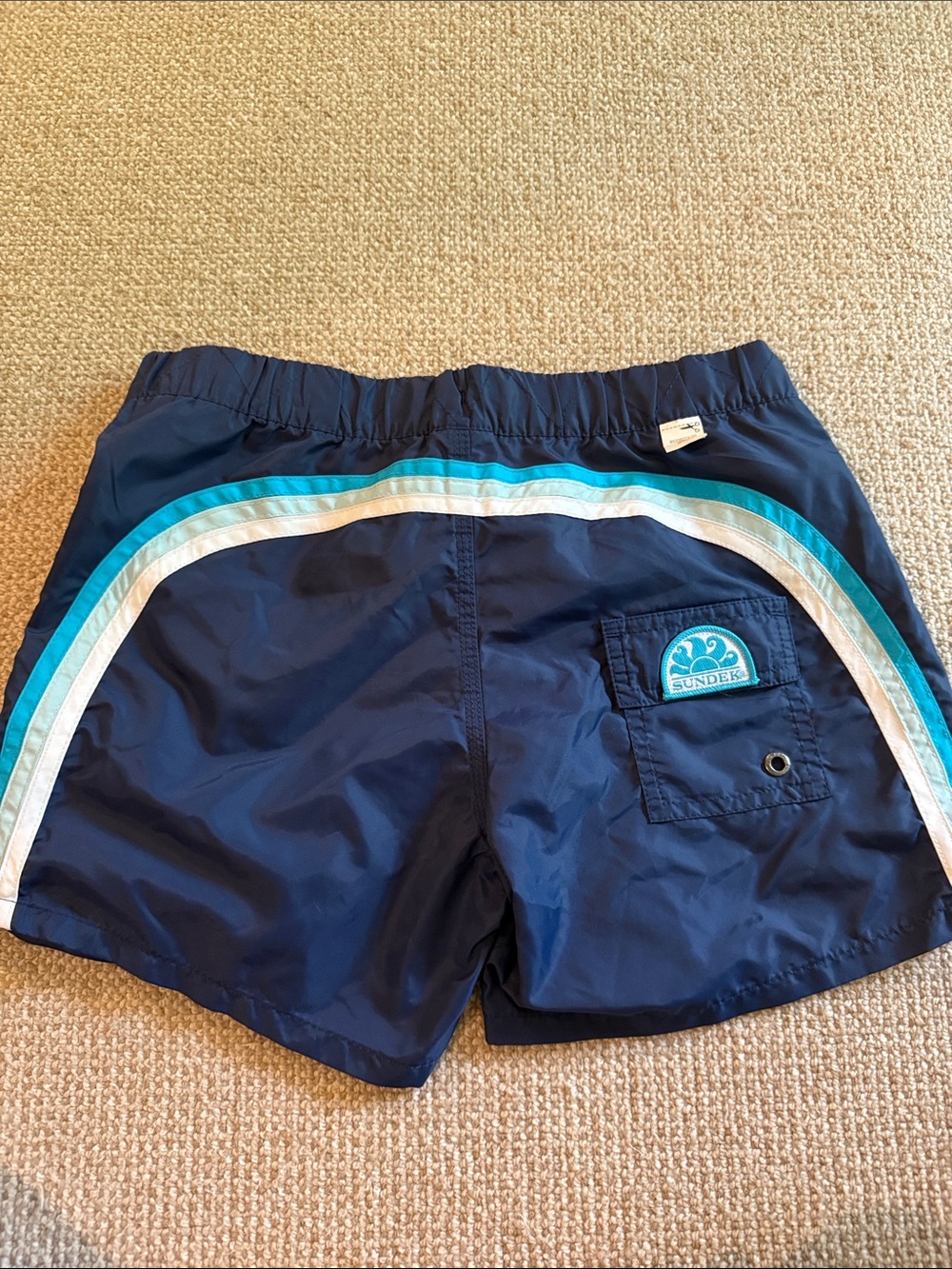 Sundek Boys Navy Blue Swim Trunks with White & Teal Stripes